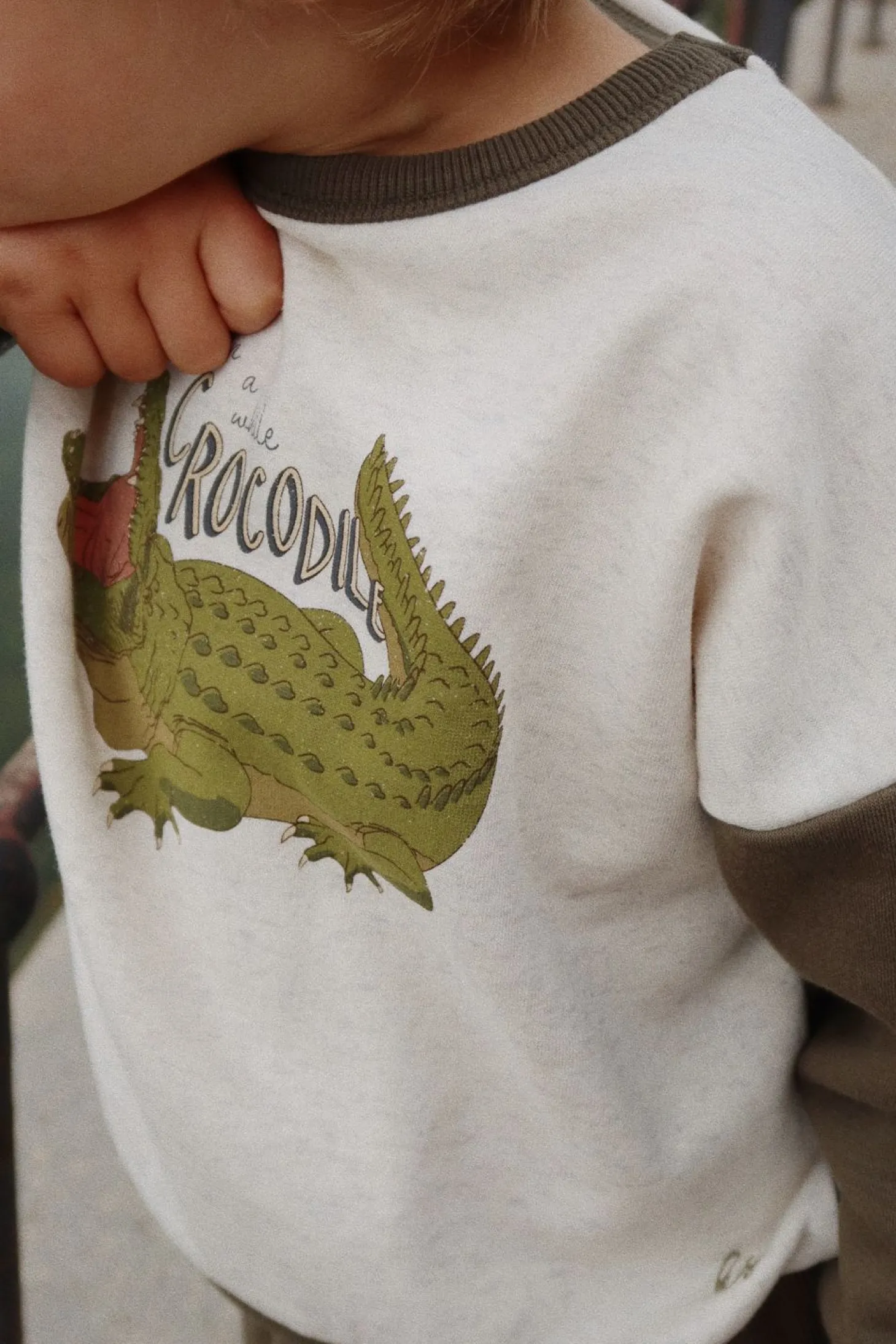 Konges Sløjd Lou Sweatshirt - Kalamata*Born Overdele